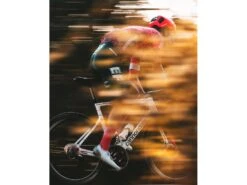 CANNONDALE SuperSix Evo Hi-Mod Ultegra Team Replica Education First 2023 -Boutique Vélo Promo cannondale supersix evo hi mod ultegra team replica education first 2023 10